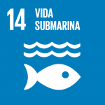 14 Vida submarina