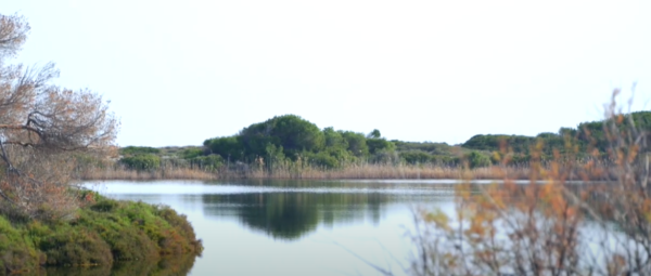Cooperamos con Paraguay para proteger los humedales, claves para la mitigación del cambio climático. 
